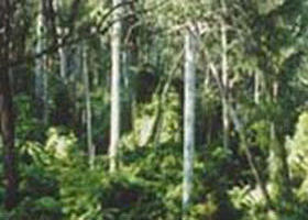 Lind National Park - eAccommodation 0