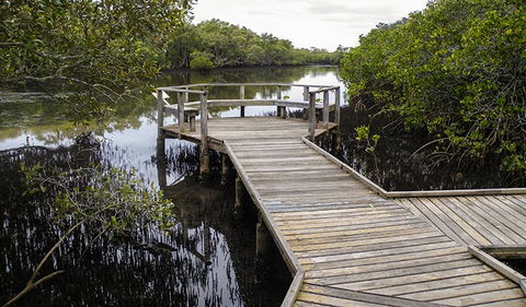 Walk On Water Walking Track - eAccommodation 1