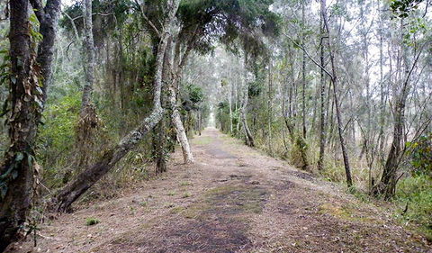 Walk On Water Walking Track - eAccommodation 2