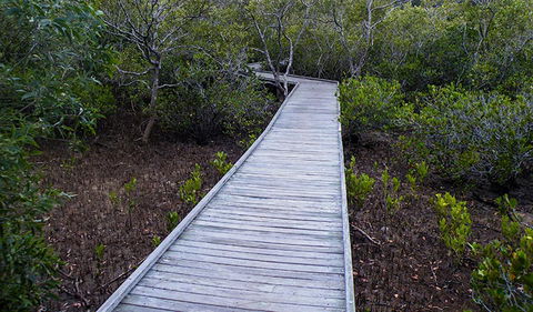 Walk On Water Walking Track - eAccommodation 3