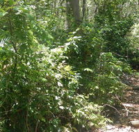 Bridle trail - eAccommodation