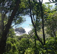 Rainforest walking track - eAccommodation