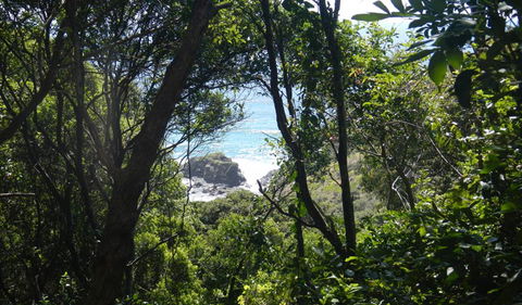 Rainforest Walking Track - eAccommodation 0