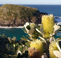 Green Island walking track - eAccommodation