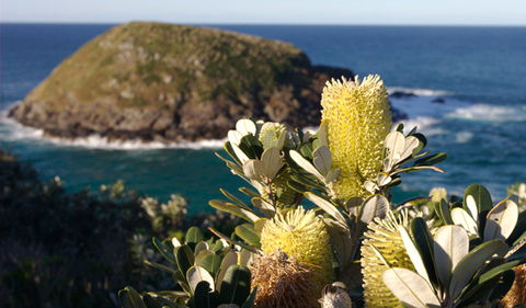 Green Island Walking Track - eAccommodation 0