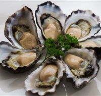 Tathra Oysters - eAccommodation