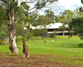 Pambula Merimbula Golf Club - eAccommodation 0