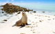 Abrolhos Islands - thumb 2