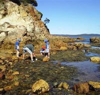 Sapphire Coast Marine Discovery Centre - eAccommodation