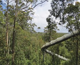 Tarkine Forest Adventures - Dismal Swamp - eAccommodation 1