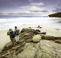 Wilderness Coast Walk - eAccommodation