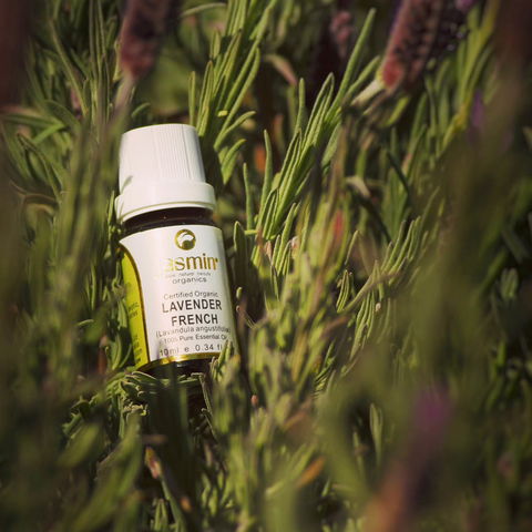 Jasmin Organics Skincare Farm And Factory - eAccommodation 7