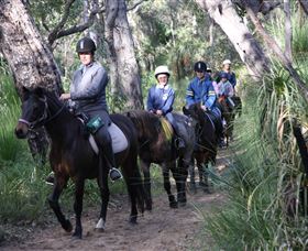 Mirravale Horse Riding School - eAccommodation 0