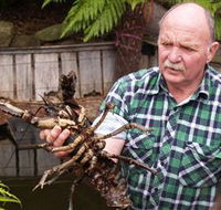 Lobster Ponds - eAccommodation