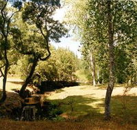 Oldina Picnic Area - eAccommodation
