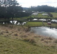 Guide Falls Farm - eAccommodation