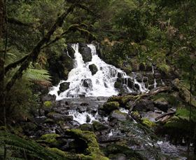 Hellyer Gorge - eAccommodation 2