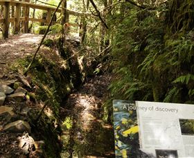 Philosopher Falls - eAccommodation 1