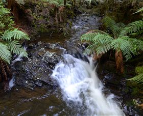 Philosopher Falls - eAccommodation 4