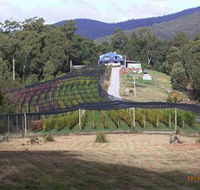 Motton Terraces - eAccommodation