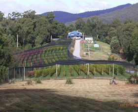 Motton Terraces - eAccommodation 0