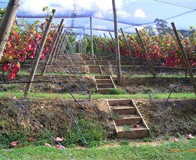 Motton Terraces - eAccommodation 2