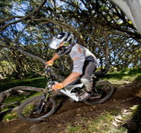 All Terrain Cycles - eAccommodation