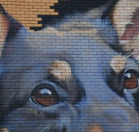 Visit Benalla Tours - eAccommodation