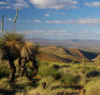4WD Aussie Outback Adventures