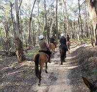 Silver Brumby Trails - eAccommodation
