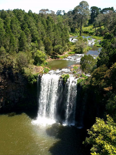 A1 Coffs Coast Tours - eAccommodation 4