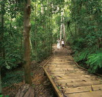 Lake Barrine Circuit Track Crater Lakes National Park - eAccommodation