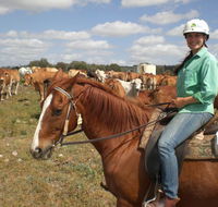 Myella Farm Stay Tours - eAccommodation