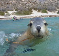 Calypso Star Charters - eAccommodation