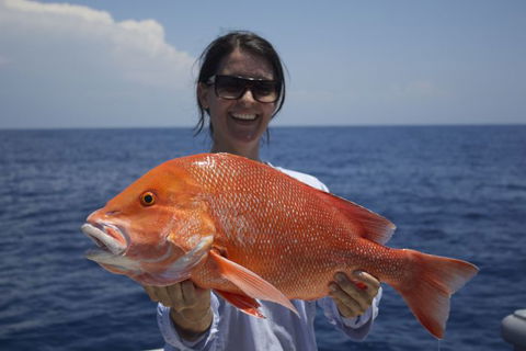 Absolute Ocean Charters - eAccommodation 3