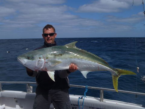 Reef Encounters Fishing Charters. - eAccommodation 12