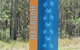 Fraser Coast Amazing Fishing Trails - thumb 17