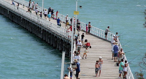 Fraser Coast Amazing Fishing Trails - eAccommodation 24