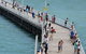 Fraser Coast Amazing Fishing Trails - thumb 25