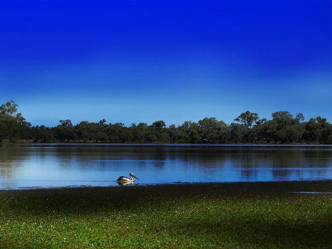 Stars, Parks And Legends Drive - eAccommodation 2
