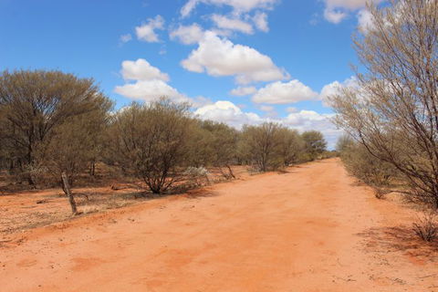 Stars, Parks And Legends Drive - eAccommodation 7