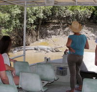 Whitsunday Crocodile Safari - eAccommodation