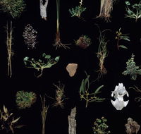 Weswal Gallery - eAccommodation