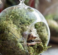 Moxom and Whitney - eAccommodation