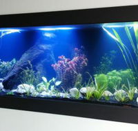 Aquariums in Cairns - eAccommodation