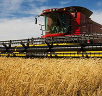 Quirindi Grain and produce - eAccommodation