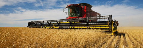 Quirindi Grain And Produce - eAccommodation 0