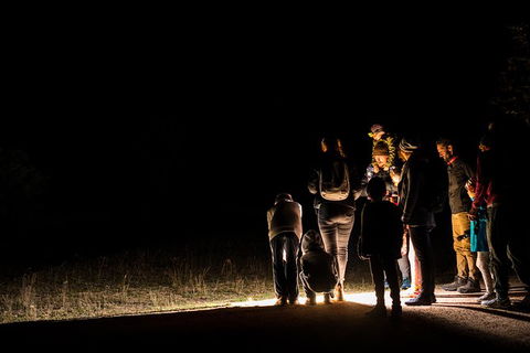 Twilight Tour - eAccommodation 1