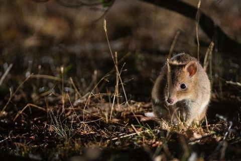 Twilight Tour - eAccommodation 0