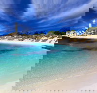 Rottnest Island Grand Tour Including Lunch and Historical Train Ride - eAccommodation